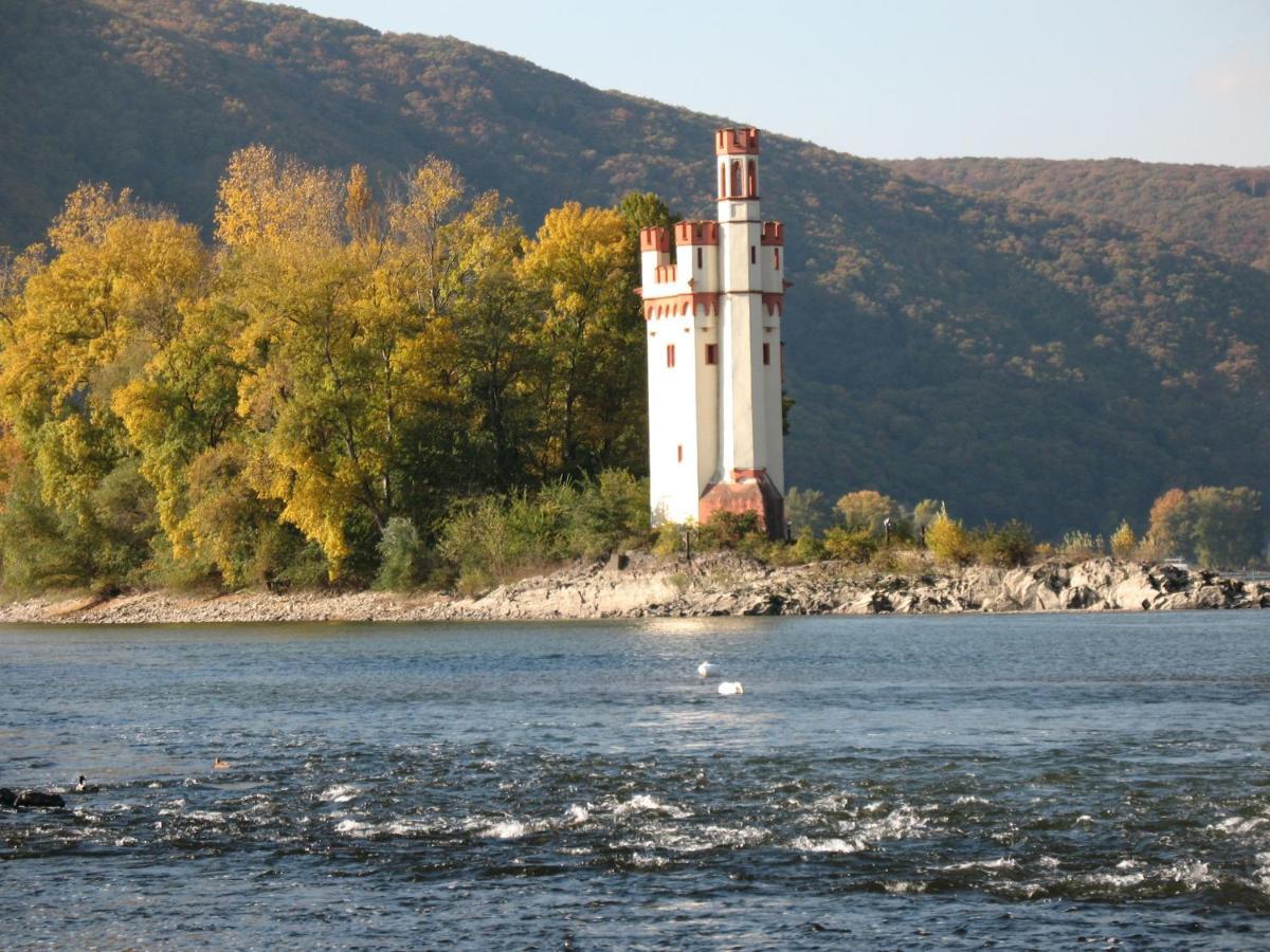 Helle Fewo, 60 Qm, Souterrain, Eigener Eingang, Rhein Und Nahe Bingen am Rhein Ngoại thất bức ảnh